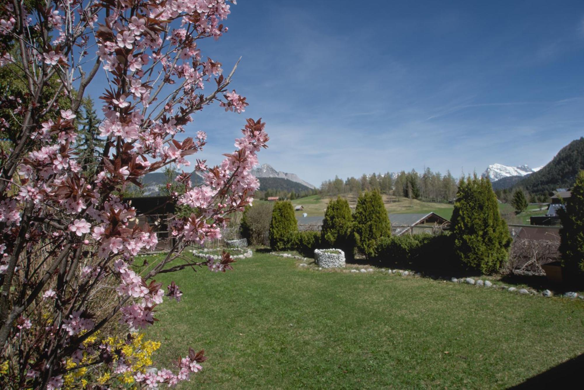 Haus Tannengruen Apartment Seefeld in Tirol Luaran gambar